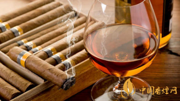 大衛杜夫埃斯庫里約羅伯圖雪茄品吸一覽