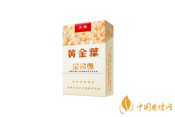 黃金葉大天葉和小天葉有啥區別 黃金葉大天葉和小天葉區別講解