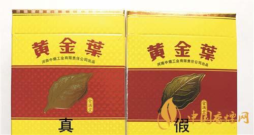 如何辨別黃金葉金滿堂真假?2020黃金葉真假辨別詳情對比