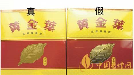 如何辨別黃金葉金滿堂真假?2020黃金葉真假辨別詳情對比