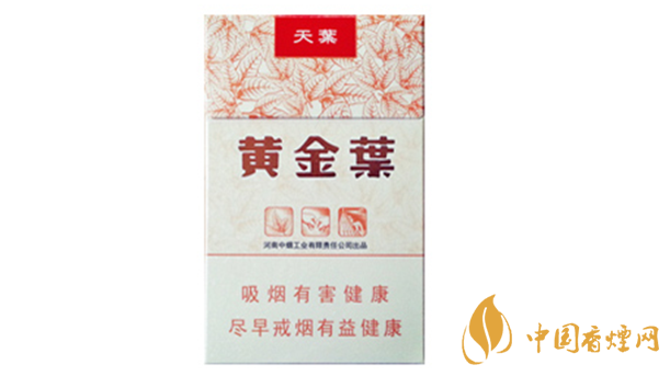 黃金葉天葉真偽怎么辨別 天葉真假如何看?