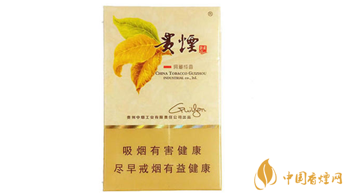 貴煙洞藏成香多少錢一條 貴煙洞藏成香價格及參數2025