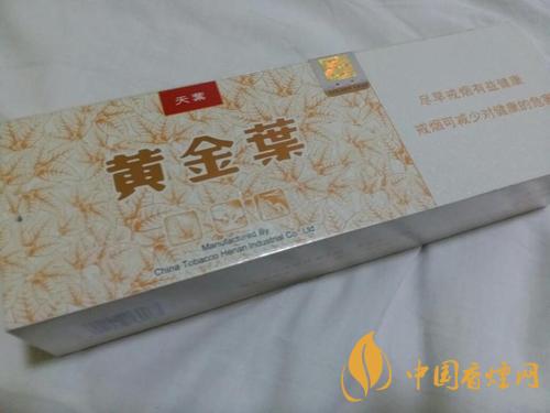 黃金葉天葉多少錢一包 黃金葉天葉真偽鑒別方法
