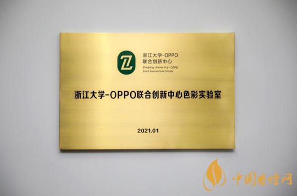 浙江大學-OPPO聯合創新中心色彩實驗室