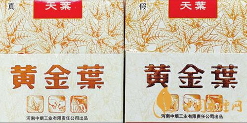 黃金葉天葉怎么區分 黃金葉天葉最新區分方法