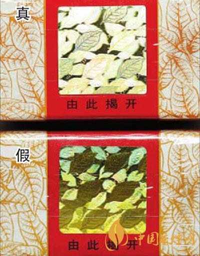 黃金葉天葉怎么區分 黃金葉天葉最新區分方法