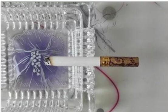 黃鶴樓漫天游,除了短貴沒別的毛病