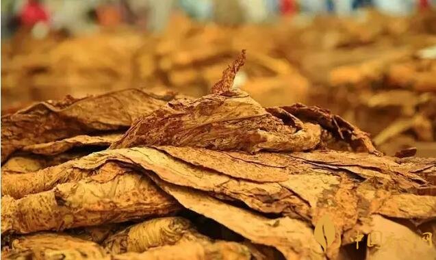 津巴布韋煙葉為什么好,黃金煙葉成為國寶