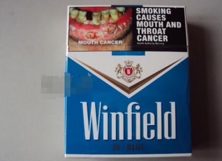 溫菲爾德（藍）圖片