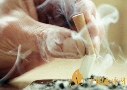 人體一天最多可以抽幾根煙 老煙民多注意身體