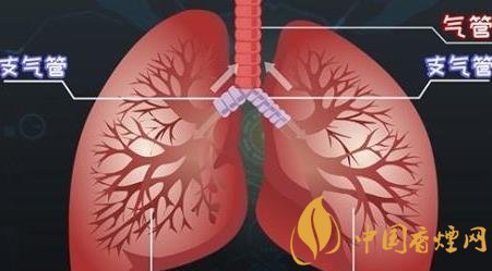 吸煙的六個(gè)常見(jiàn)危害分析 戒煙已經(jīng)刻不容緩
