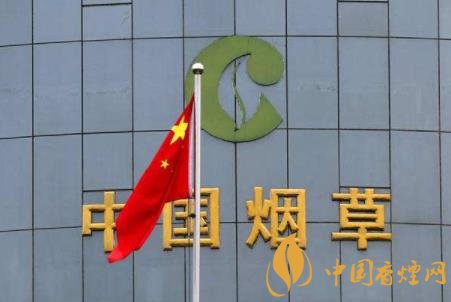 中國煙草企業待遇怎么樣 中國煙草招聘哪些崗位