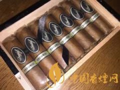 大衛杜夫小羅伯圖雪茄價格及口感介紹